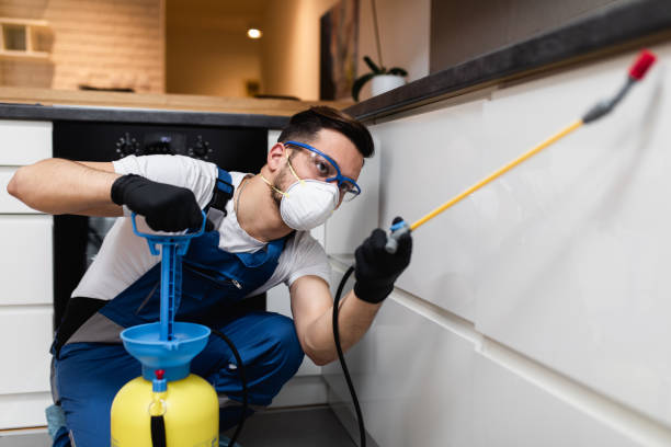 Best Flea Control Services  in Batesburg Leesville, SC