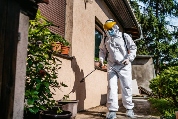 Best Local Pest Control Services  in Batesburg Leesville, SC