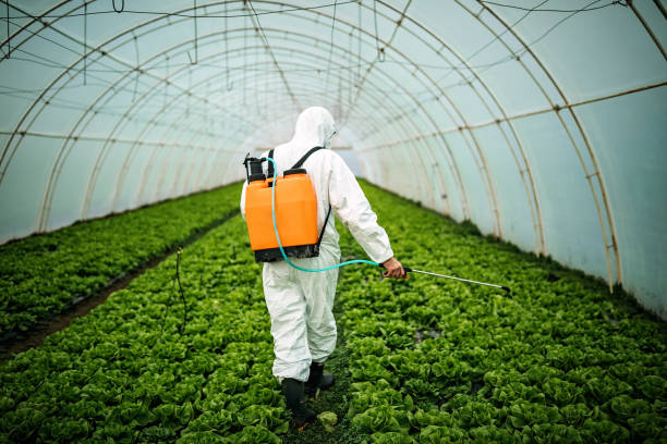Best Pest Removal Services  in Batesburg Leesville, SC