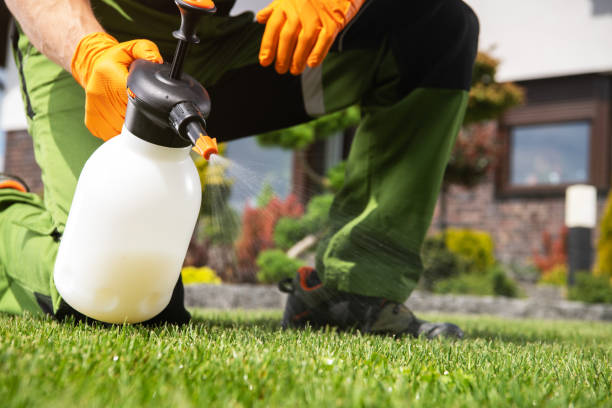 Best Insect Control  in Batesburg Leesville, SC